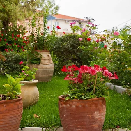 Borsalino Нидри