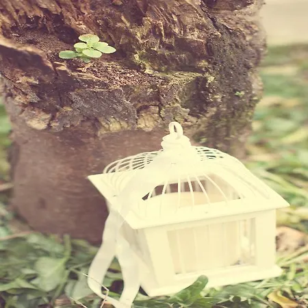 Lägenhetshotell Borsalino