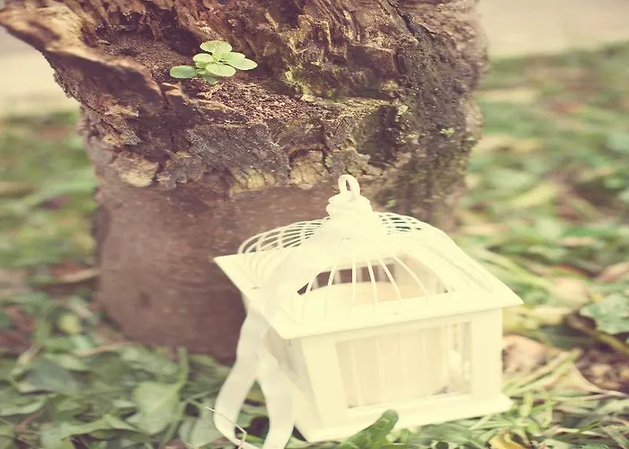 Aparthotel Borsalino